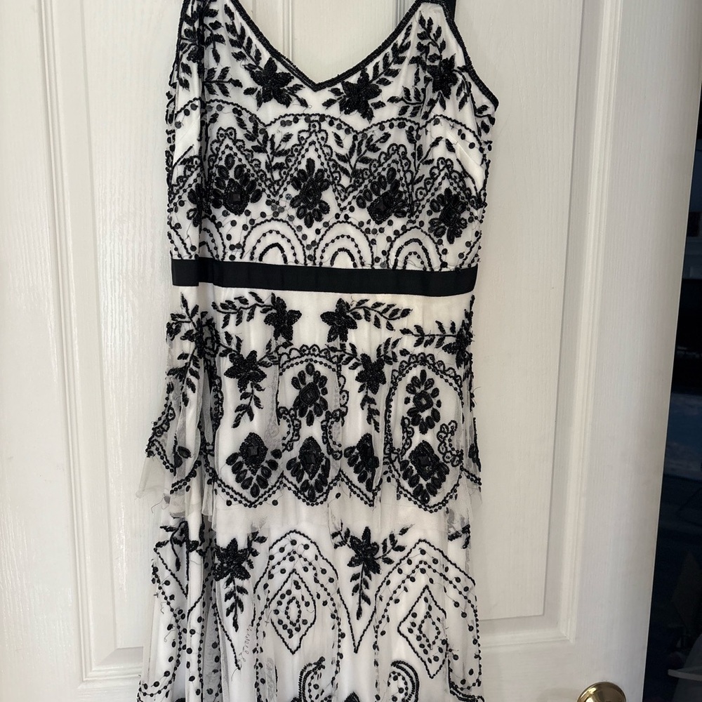 Elegant Black and White Embroidered Dress